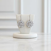 CUBIC ZIRCONIA - CRYSTAL SPARKLE EARRINGS - CZER382 SILVER