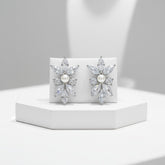 CUBIC ZIRCONIA COLLECTION - DAINTY SPARKLE EARRINGS - CZER861 SILVER