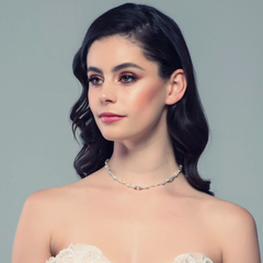 SASSB COLLECTION - Chic Back Drop Necklace - BN2a