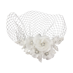 Vintage Charm Bird Cage Veil HP31- SASSB