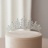 CUBIC ZIRCONIA COLLECTION - CRYSTAL ENCRUSTED TIARA - AHB-25 SILVER