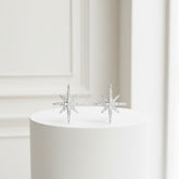 ATHENA COLLECTION - CRYSTAL SPARKLE STAR EARRINGS - SILVER - CZER521