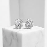 CUBIC ZIRCONIA COLLECTION -DAINTY DIVA EARRINGS - CZER597 - SILVER