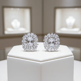CUBIC ZIRCONIA COLLECTION - ENCHANTMENT SPARKLE EARRINGS - CZER684 SILVER