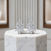 CUBIC ZIRCONIA COLLECTION - GLITZY CRYSTAL EARRINGS - CZER774 SILVER
