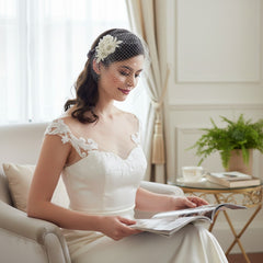 Vintage Charm Bird Cage Veil HP31- SASSB