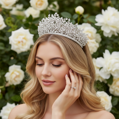 CUBIC ZIRCONIA COLLECTION - LUXE STATEMENT TIARA - AHB251 SILVER